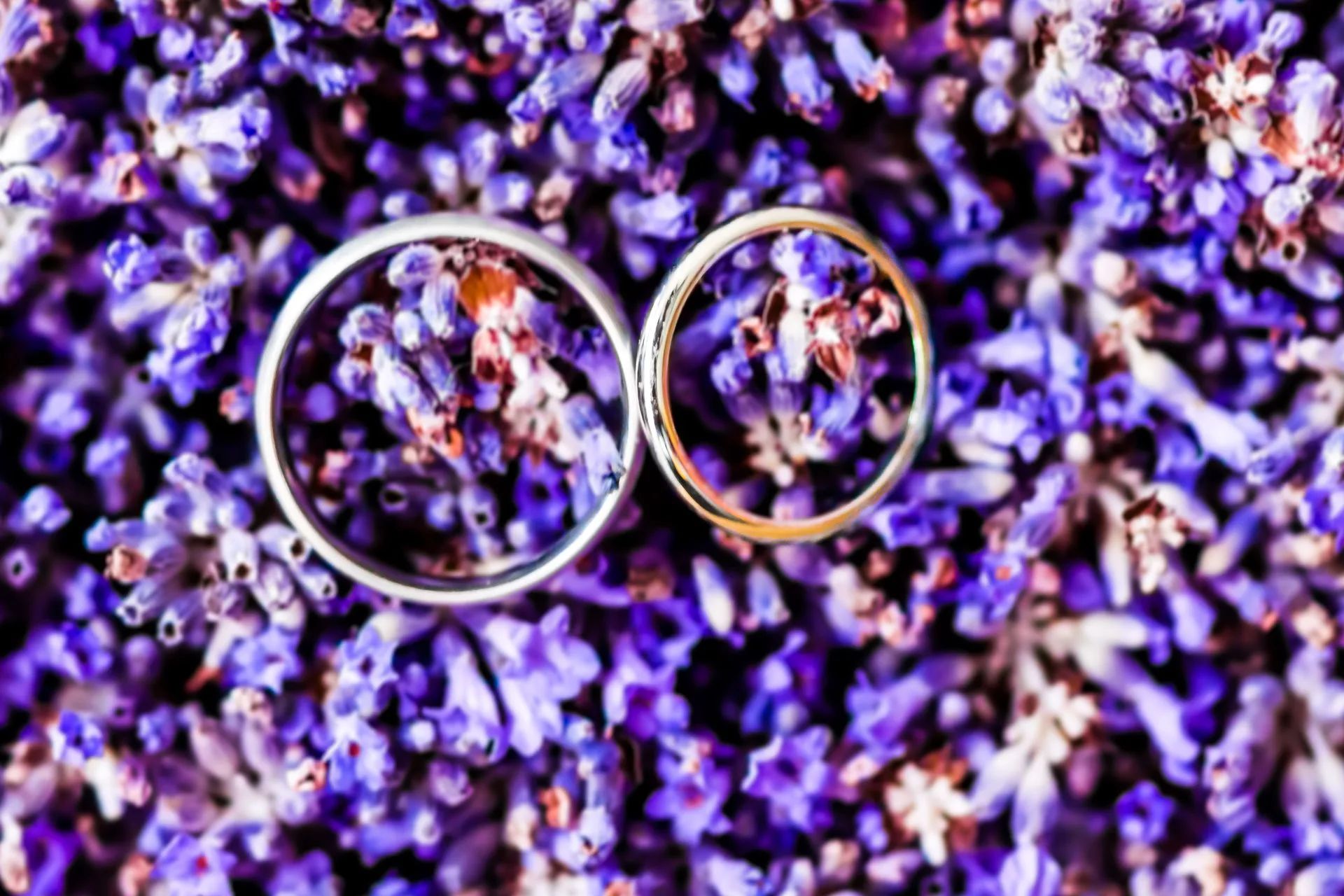 Wedding rings on lavender — photography packages Germany